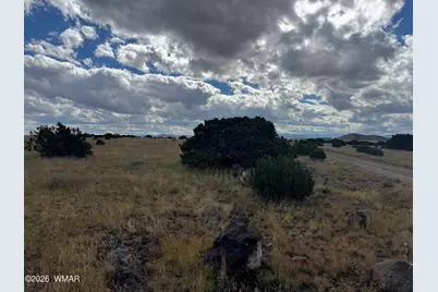 110 Hickory Lane, Concho, AZ 85924 - Photo 4