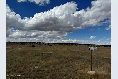 317 Maple Lane, Concho, AZ 85924 - Photo 4