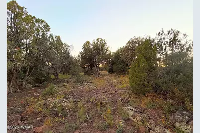 8332 Skyline Drive, Show Low, AZ 85901 - Photo 4