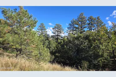 1545 Rocky Top Drive, Heber, AZ 85928 - Photo 6