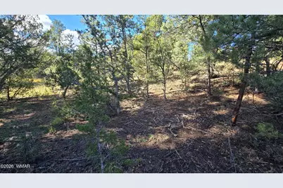 1545 Rocky Top Drive, Heber, AZ 85928 - Photo 2