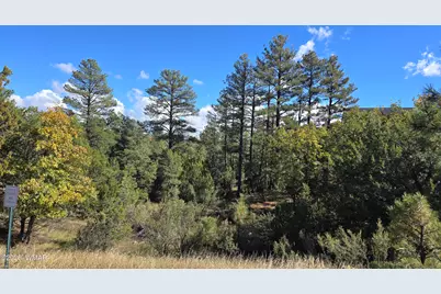 1545 Rocky Top Drive, Heber, AZ 85928 - Photo 8