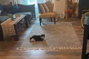 1550 Rory Ln, Simi Valley, CA 93063 - Photo 20