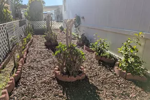 31 Via Paloma, Camarillo, CA 93012 - Photo 18