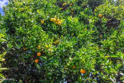 1884 Channel Drive, Ventura, CA 93001 - Photo 48