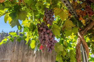 326 W Mission Ave, Ventura, CA 93001 - Photo 24