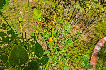 15877 Beaver Run Road, Canyon Country, CA 91387 - Photo 68