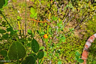 15877 Beaver Run Rd, Canyon Country, CA 91387 - Photo 68