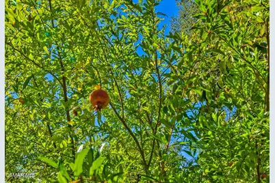 15877 Beaver Run Road, Canyon Country, CA 91387 - Photo 62