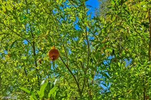 15877 Beaver Run Rd, Canyon Country, CA 91387 - Photo 62