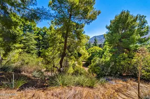 15877 Beaver Run Rd, Canyon Country, CA 91387 - Photo 66