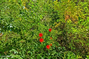 15877 Beaver Run Rd, Canyon Country, CA 91387 - Photo 60