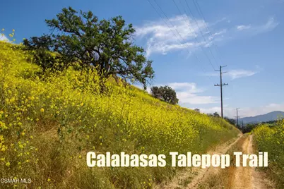 3831 Cottonwood Grove Trail, Calabasas, CA 91301 - Photo 62
