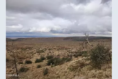  Off Big Pines Hwy. Road, Llano, CA 93544 - Photo 14