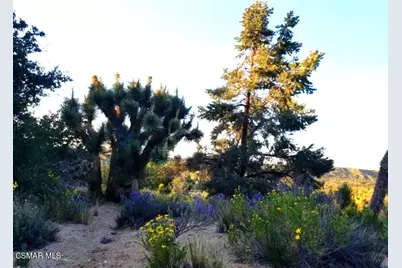  Off Big Pines Hwy. Road, Llano, CA 93544 - Photo 1