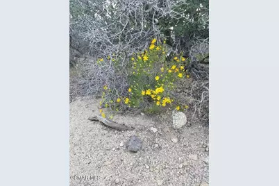  Off Big Pines Hwy. Road, Llano, CA 93544 - Photo 8
