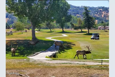 21431 Shirley Drive Drive, Tehachapi, CA 93561 - Photo 2