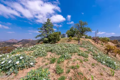 102 Carlisle Road, Thousand Oaks, CA 91361 - Photo 18