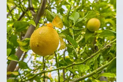 25877 Shady Oak Lane, Valencia, CA 91381 - Photo 24