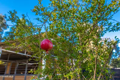 952 Carefree Drive, Simi Valley, CA 93065 - Photo 50