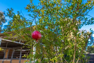 952 Carefree Dr, Simi Valley, CA 93065 - Photo 50