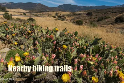 349 Newbury Vista Lane, Newbury Park, CA 91320 - Photo 48