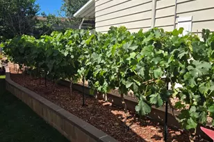 68 La Palma, Newbury Park, CA 91320 - Photo 34