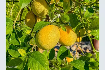 4255 Saddlecrest Lane, Westlake Village, CA 91361 - Photo 36