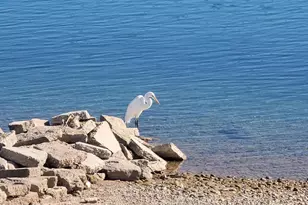 675 Parker Dam Rd, Parker Dam, CA 92267 - Photo 24