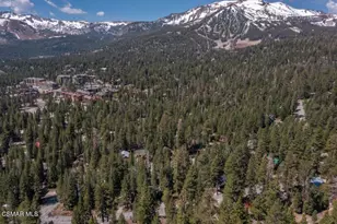 343 Grindelwald Rd, Mammoth Lakes, CA 93546 - Photo 52