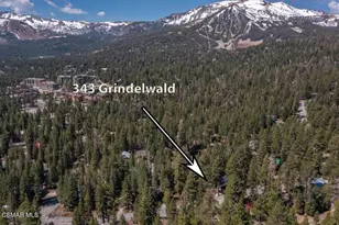343 Grindelwald Rd, Mammoth Lakes, CA 93546 - Photo 48