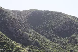 1149 Itamo St, Camarillo, CA 93012 - Photo 36