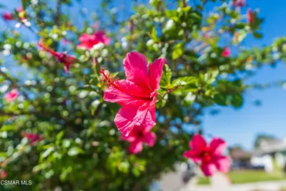 2517 E Phyllis Street, Simi Valley, CA 93065 - Photo 20