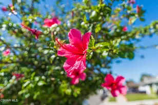 2517 E Phyllis St, Simi Valley, CA 93065 - Photo 20