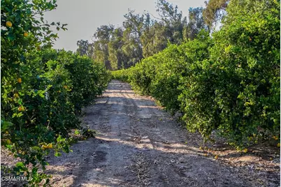 12072 Broadway Road, Moorpark, CA 93021 - Photo 24