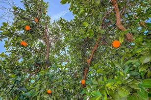 10111 Oak Park Ave, Northridge, CA 91325 - Photo 60