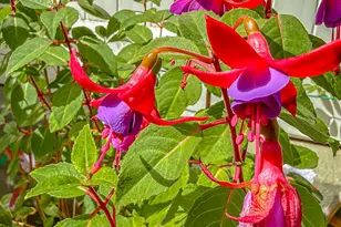 219 Ocho Rios Way, Oak Park, CA 91377 - Photo 62