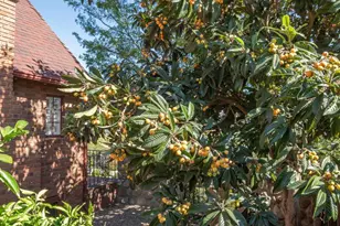 975 Loma Vista Pl, Santa Paula, CA 93060 - Photo 36