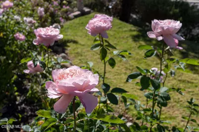 4655 Via Grande, Newbury Park, CA 91320 - Photo 32