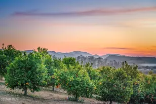 15645 LaPeyre Rd, Moorpark, CA 93021 - Photo 54