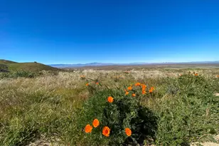 44132 Munz Ranch Rd, Lake Hughes, CA 93532 - Photo 18