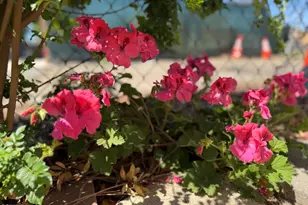 5932 Los Angeles Ave, Simi Valley, CA 93063 - Photo 20