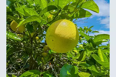 23571 Windom Street, West Hills, CA 91304 - Photo 62