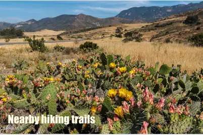 248 Cathy Drive, Newbury Park, CA 91320 - Photo 50