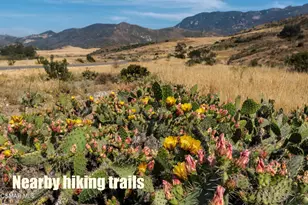 248 Cathy Dr, Newbury Park, CA 91320 - Photo 50