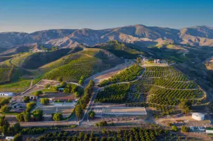 1451 E La Loma Ave, Somis, CA 93066 - Photo 86