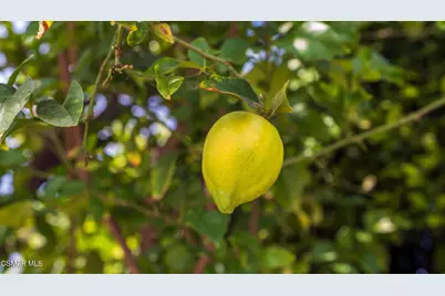 7933 Teesdale Avenue, North Hollywood, CA 91605 - Photo 36