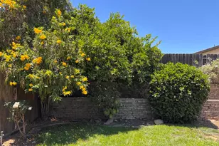 144 Valley Ridge St, Ojai, CA 93023 - Photo 24