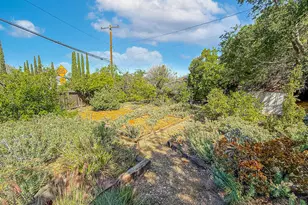 253 Beech Rd, Newbury Park, CA 91320 - Photo 14