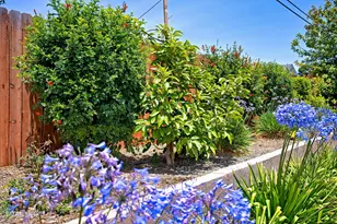 3391 Rivermore St, Camarillo, CA 93010 - Photo 32